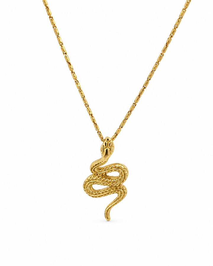 Winding Snake Pendant