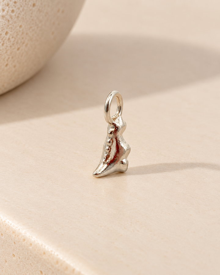 Baby T Rex Dinosaur Charm