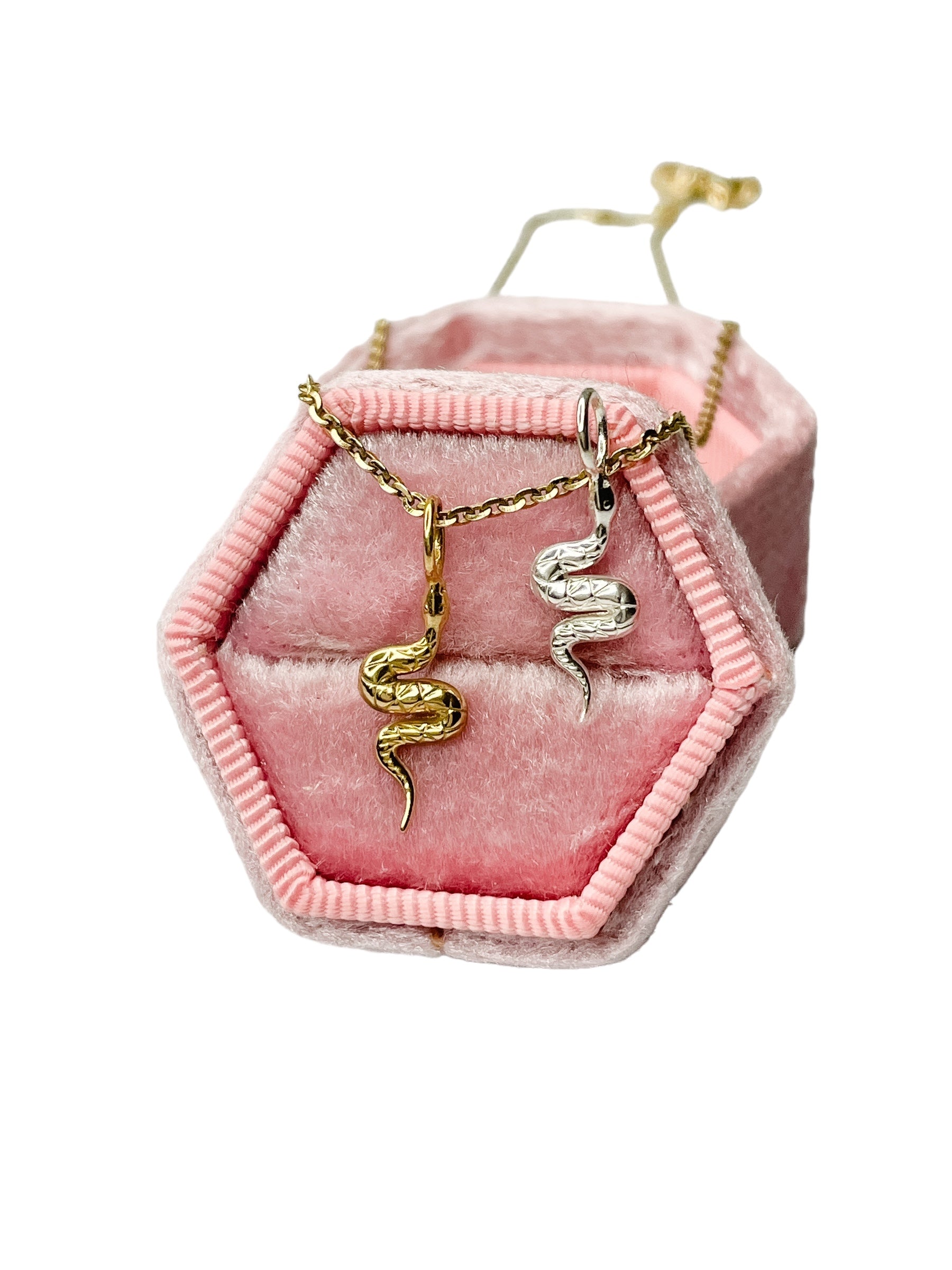 Snake Charms