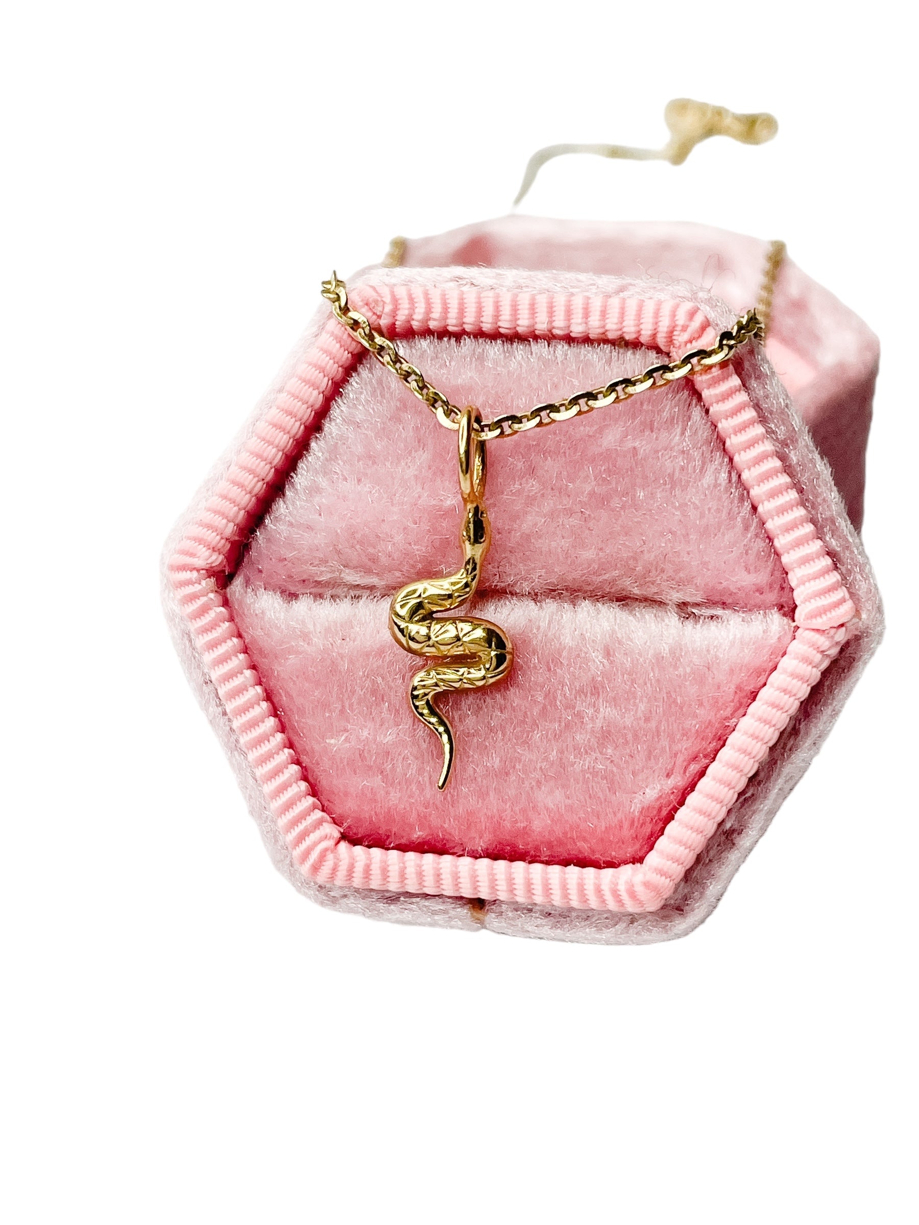 Snake Charms